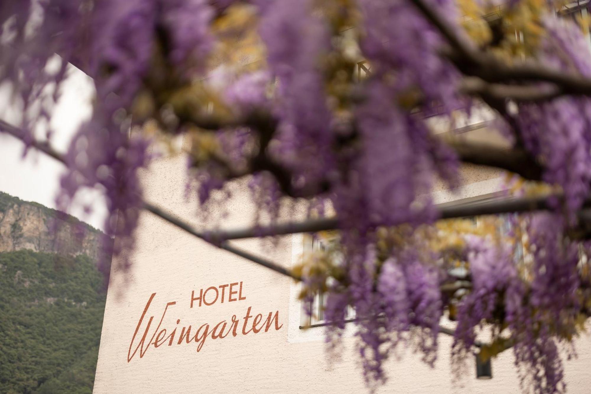 Weingarten Terlan - Rooms & Breakfast מראה חיצוני תמונה